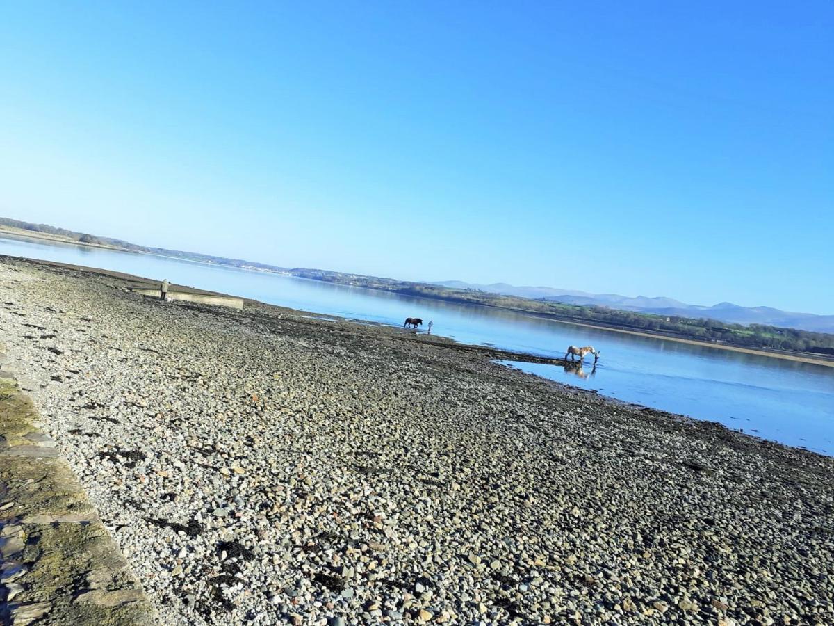 Gwenallt Dwyran Bagian luar foto