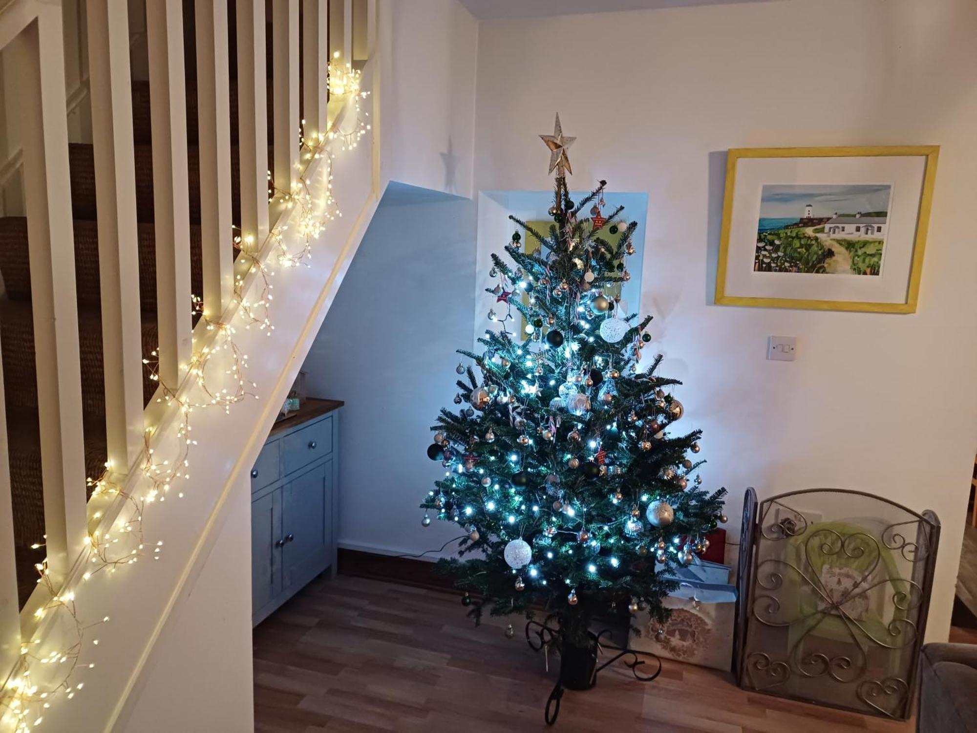 Gwenallt Dwyran Bagian luar foto